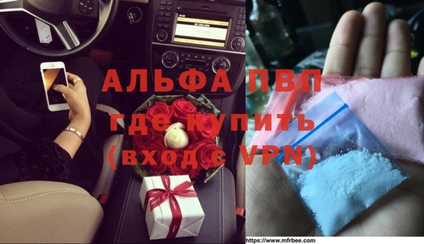 гидра Кирсанов