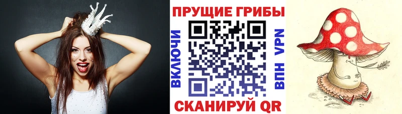 Галлюциногенные грибы Magic Shrooms  Мглин 
